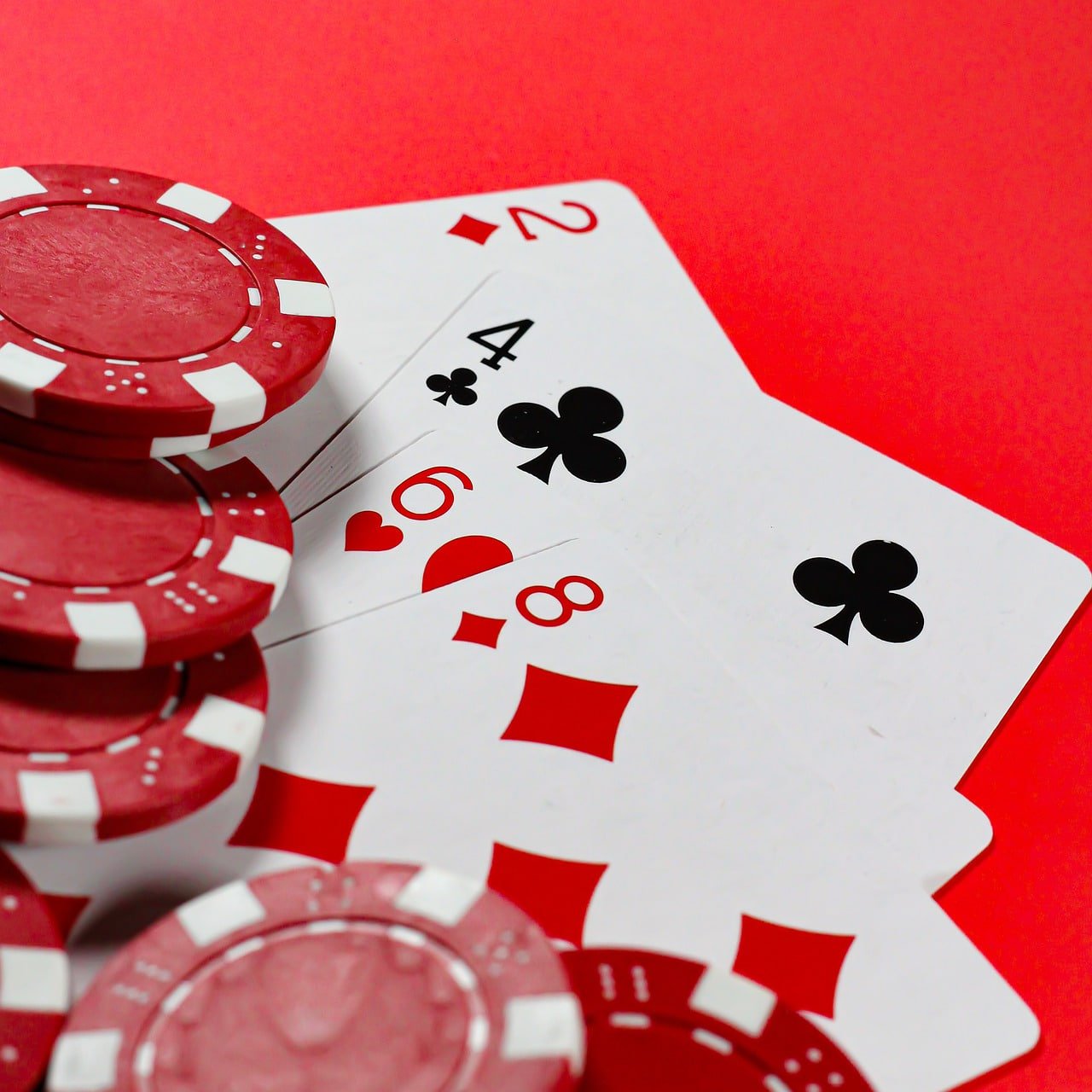 7sip Bingo y Cartones